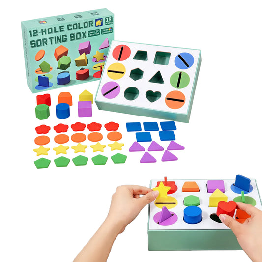 12-Hole Color Sorting Box – Shape & Color Sorting Toy for Toddlers